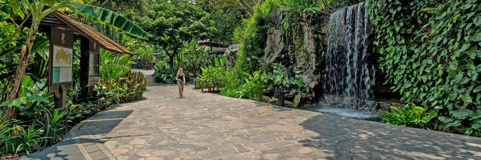 シンガポール植物園